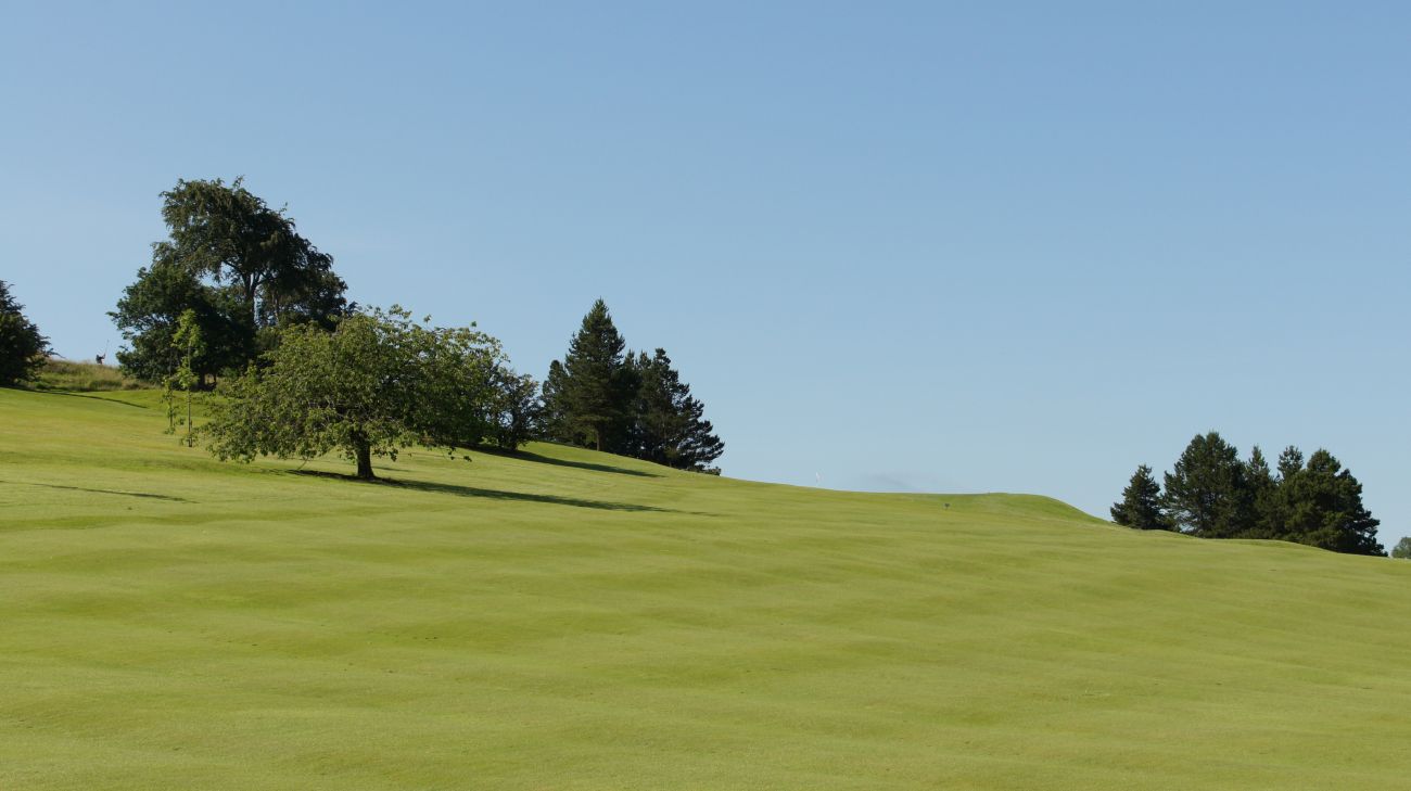 Hole 1 — Approach