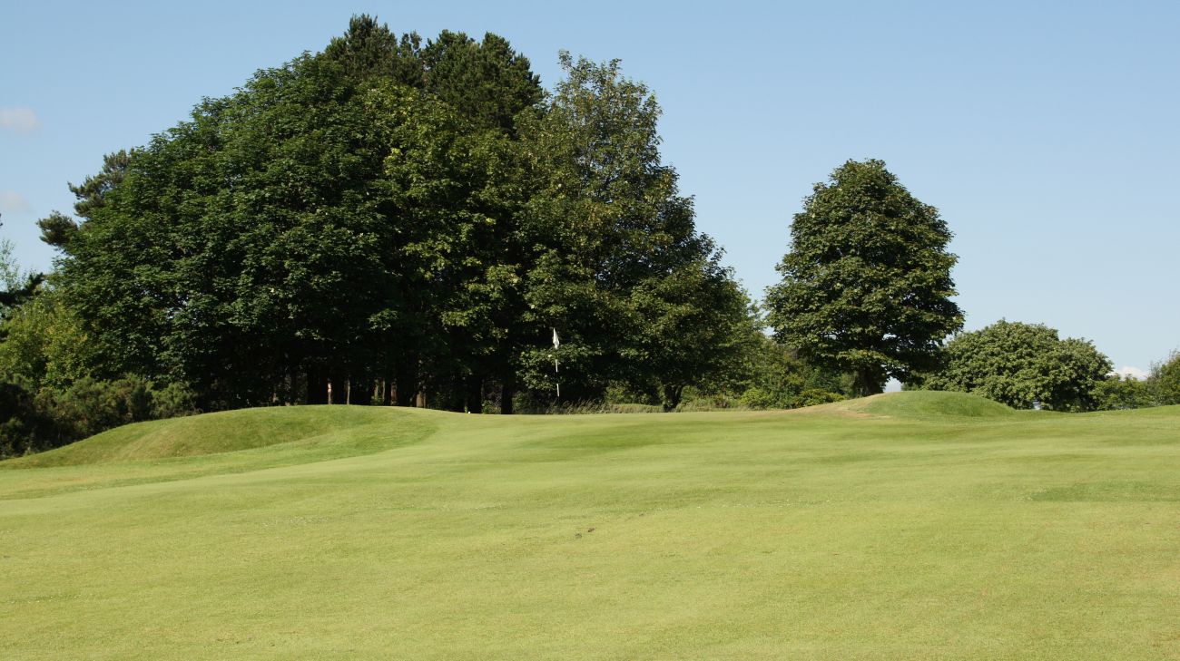 Hole 8 — Green