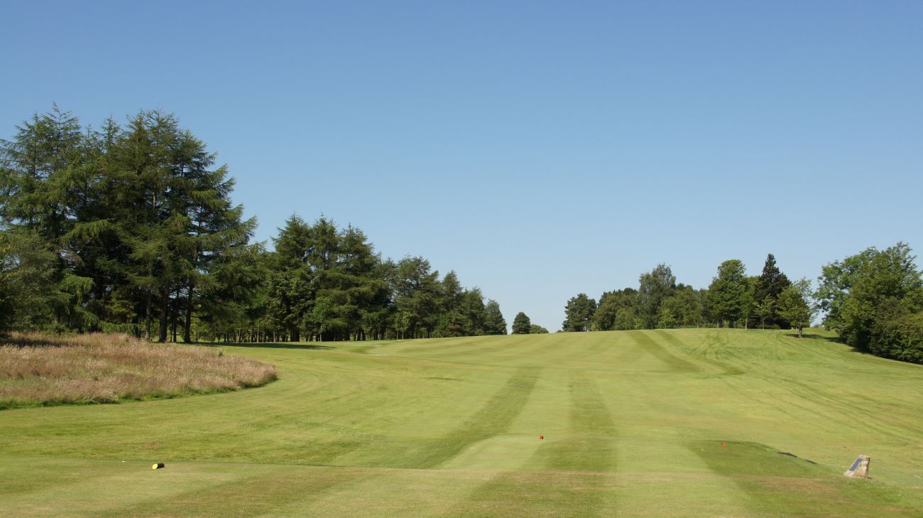 Hole 8 — Tee